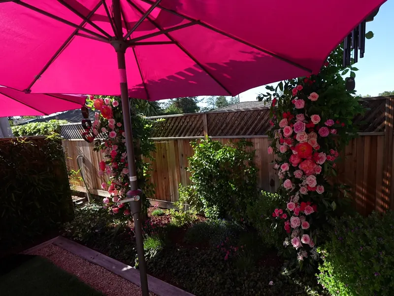 Rose-covered arch framing a shaded seating area at a Daly City catered gathering