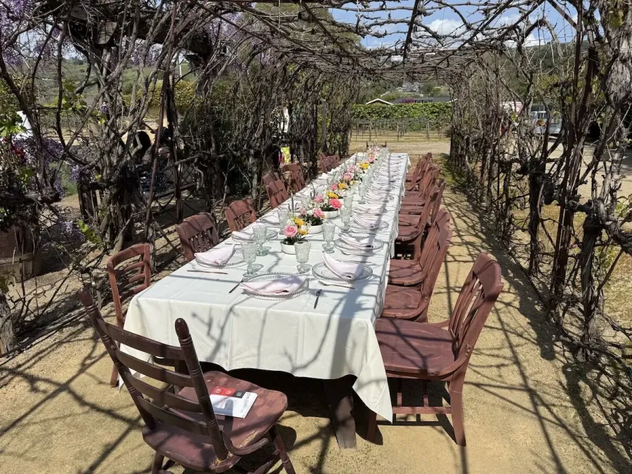 Banquet table spaced with petite blossom arrangements between simple settings among the vines — bud vase groupings from SF and Daly City catering